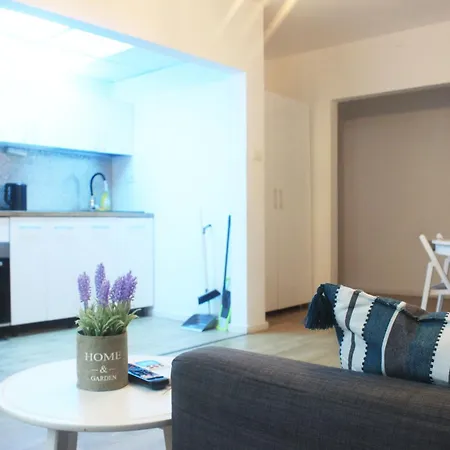 Moise House - Kosher Apartment Bucharest